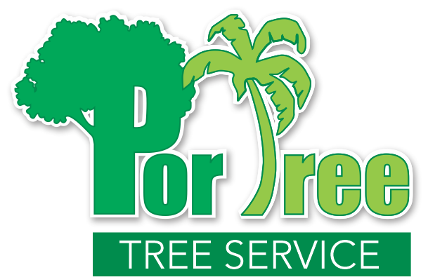 PorTree Tree Services